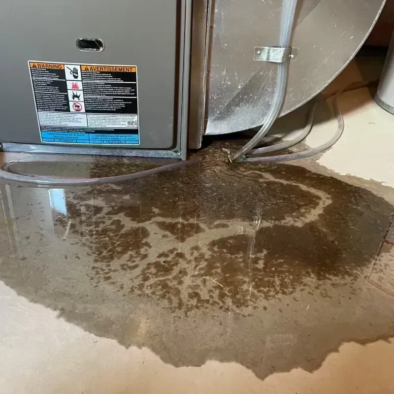 Appliance Leak Cleanup in Tanner, WA